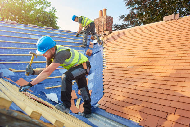 Best Storm Damage Roof Repair  in Rainbow Springs, FL